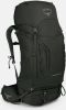 Osprey Kestrel 58 Backpack S/M picholine green backpack online kopen