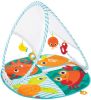 Fisher-Price draagbare en opvouwbare babygym online kopen