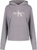 Calvin Klein Hoodie GUNMETAL MONOGRAM HOODIE met metallickleurig ck logo monogram & opschrift online kopen