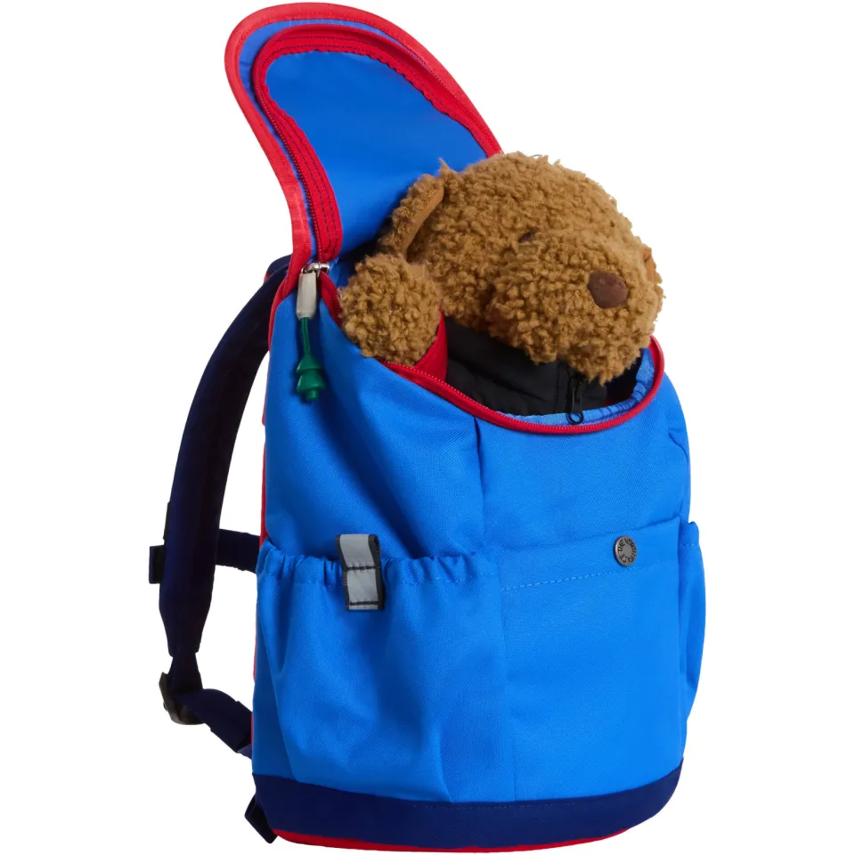 The North Face Mini Explorer kinderrugzak blauw, foto 5